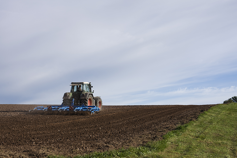 Agriculture